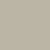 A plain, solid light beige background with no visible patterns, objects, or text.