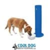 A brown and white dog drinks from a white bowl attached to a tall, blue water fountain. The text "Cool Dog Water Fountains.com" with a dog graphic appears below the image.