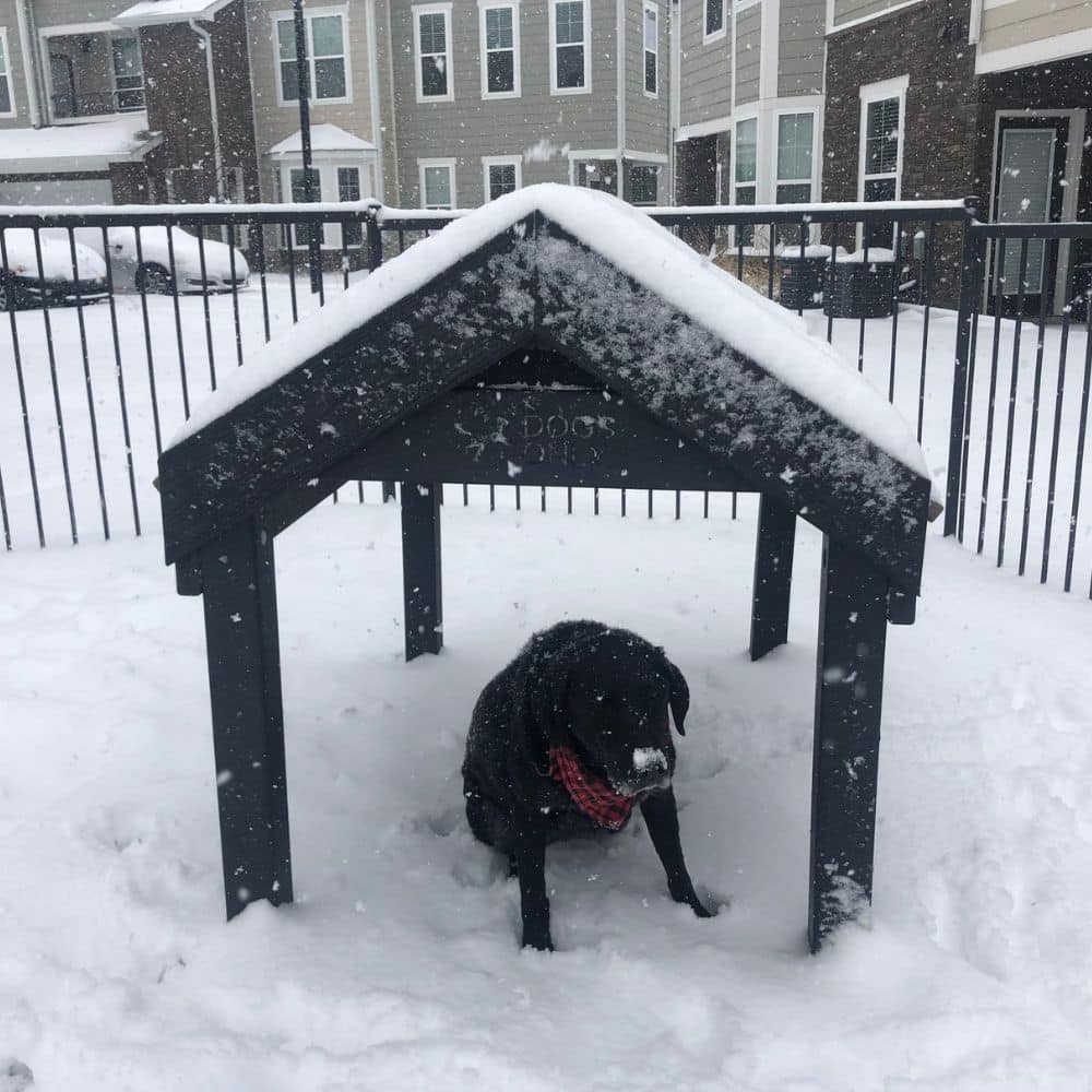 Hammie's natural house size Large