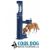 A brown and white dog drinks from a lower basin of a blue outdoor water fountain, which also has an upper spout for people. The logo below reads "Cool Dog Water Fountains" with a dog illustration.