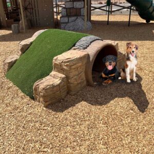 Two dogs sit at the entrance of a playground tunnel shaped like a log with artificial grass on top, surrounded by wood chips and play structures in the background.