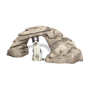 A black and white dog sits under a large, artificial stone arch that resembles natural rock formations.