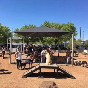 People and dogs gather under a large canopy in a dog park on a sunny day. A yellow dog sits atop a wooden ramp in the foreground while others interact and play nearby. Trees and parked cars are visible in the background.