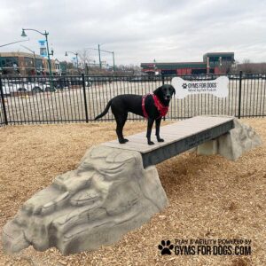 A black dog wearing a red harness stands on a stone-like agility bridge at an outdoor dog park with wood chip ground and fenced surroundings. Signs and buildings are visible in the background.