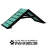 A teal and black A-frame dog agility ramp with textured steps, elevated at an angle. Below, the text reads "Play & Agility Powered by GymsForDogs.com" with a paw print icon.