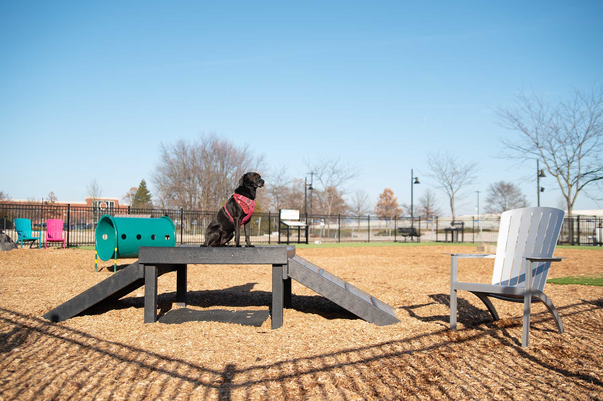 The Dog Park Boulder size extra large