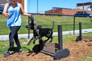 A woman leads a black dog on a leash as it jumps over the Adjustable Jump Hurdle - Portable Mount at a sunny dog park, with a fence, grass, and buildings in the background.