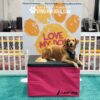 A happy golden retriever lies on a pink platform in front of a sign that says “Love My Dog” at a dog agility event. The background features paw prints and hashtags about dogs and pet gyms.
