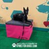 A black dog with upright ears lies on a pink and gray Jump Dog platform, leash attached, in front of a wall with teal dog graphics and hexagon designs. Text on the platform reads, “Play & Agility Powered by Gyms for Dogs.com.”.