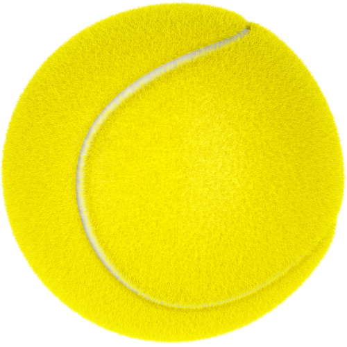 dog-park-tennis-ball