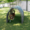 A brown dog with a red bandana walks under a small, arched play structure on green grass in a fenced outdoor area with trees.