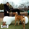 A woman in a black coat stands outside, smiling at a black dog standing on a large white bone-shaped structure, while a brown dog stands nearby. The setting is a fenced dog park with trees in the background.