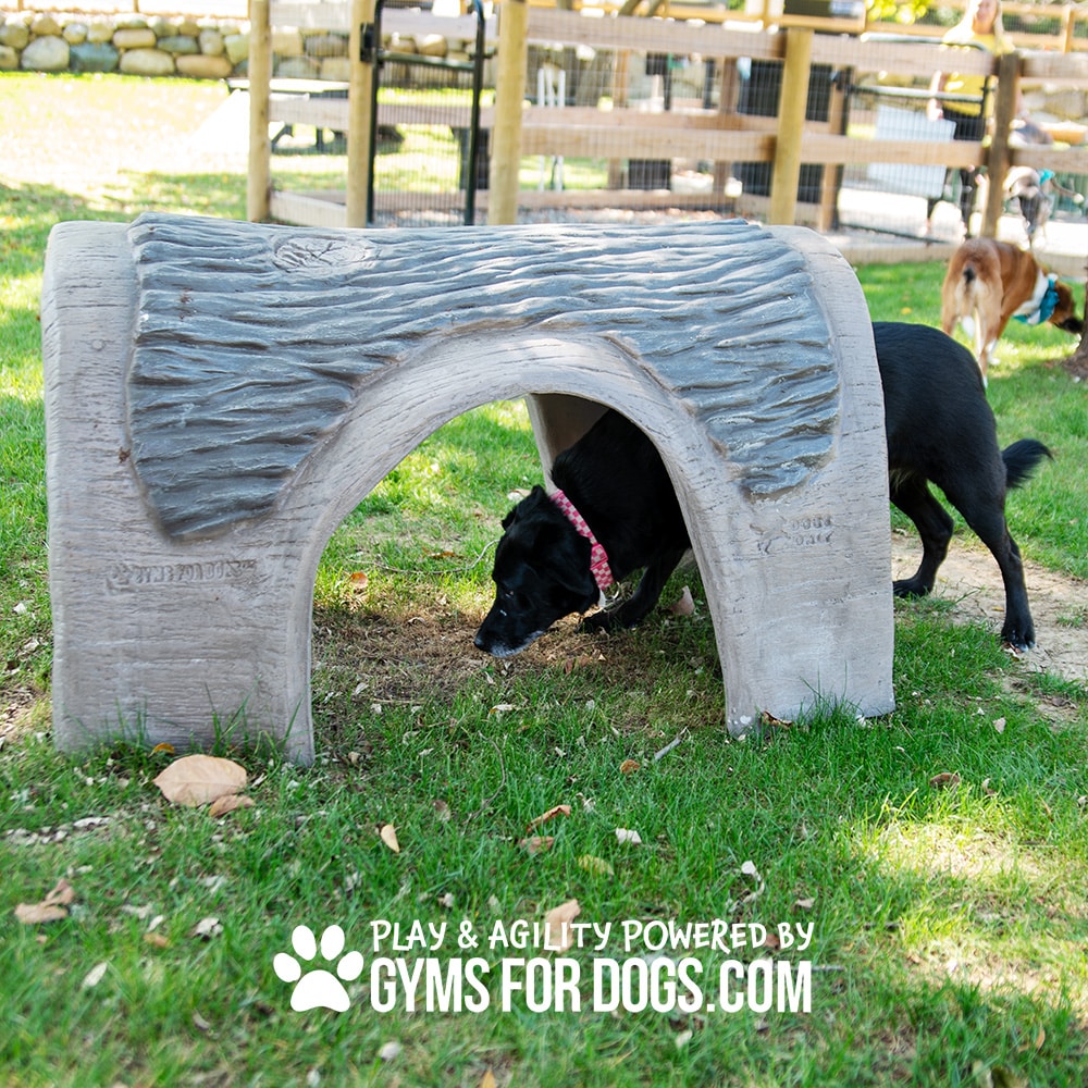 A black dog with a red collar crawls under a sculpted log tunnel in a grassy dog park. Two other dogs and a fence are visible in the background. Text reads, "Play & Agility Powered by Gyms For Dogs.com.