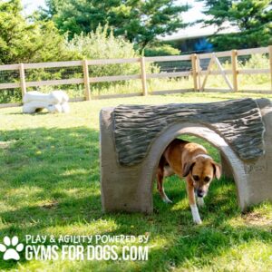A brown and white dog walks through a Hammie's Tunnel House (S/M) in a grassy, fenced dog park with trees and sunlight. Text at the bottom left reads "Play & Agility Powered by Gyms For Dogs.com.