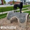 A black dog stands on top of a large, textured, log-shaped play structure at a dog park. The structure has the text "GYMS FOR DOGS.COM" and "PLAY & AGILITY POWERED BY" printed in the bottom left corner.