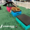 A black dog stands on a pink platform while a golden retriever lies on a blue platform, chewing a toy. Dog toys are scattered on green turf. White fences and the Jump Dog logo are visible.