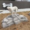 A large white dog stands on top of an artificial rock structure in a dog park area. A sign in the background reads "Gyms for Dogs - Natural Dog Park Products.