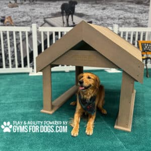 A happy golden retriever sits under the Interactive Play Tunnel House—great for shelters and private properties—on green turf at a dog park, with a white fence behind. Text: “Play & agility powered by Gyms for Dogs.com.”.