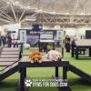 A golden and a white dog rest on a Bridge Climb 29" Tall (L/X) in an indoor Dog Park agility display, surrounded by various equipment. The text reads, "Play & Agility Powered By GymsForDogs.com.