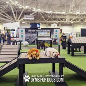 A golden and a white dog rest on a Bridge Climb 29" Tall (L/X) in an indoor Dog Park agility display, surrounded by various equipment. The text reads, "Play & Agility Powered By GymsForDogs.com.