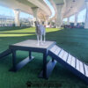 A white dog stands on a Bridge Climb 34" Tall (Pro) platform with ramps, on artificial grass under a highway overpass in an outdoor dog gym and park. "GYMS FOR DOGS.COM" branding is visible on the ground.