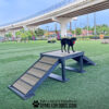 A black dog with a toy stands on the Bridge Climb 34" Tall (Pro) ramp at a Dog Park with artificial turf. An overpass and trees are visible in the background. Text at the bottom reads: "Gyms for Dogs.