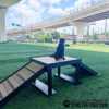 A dog sits on the Bridge Climb 34" Tall (Pro) ramp, eagerly watching other pups play at the dog park.
