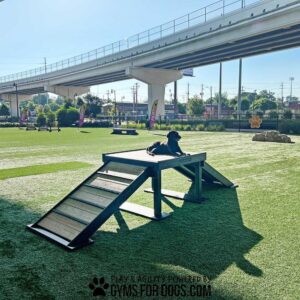 A black dog rests atop the Bridge Climb (Pro), a wooden agility platform, in a grassy dog park with city buildings and an overpass in the background as sunlight casts long shadows across the scene.