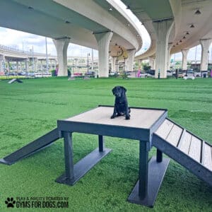 A black dog sits on the Bridge Climb 34" Tall (Pro) agility platform with ramps in a dog park under highway overpasses. The open artificial turf field is surrounded by columns. The "Gyms for Dogs" logo appears in the corner.