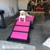 A large white dog rests on the Bridge Climb (S/M) 18" Tall, a bright pink and black agility ramp, in a garage with household items around. Text on the image: "Play & Agility Powered by GymsForDogs.com.