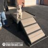 A white dog sits atop the Bridge Climb (S/M) 18" Tall outdoors, next to a person in jeans and boots. The ramp features "Gyms For Dogs" branding in the corner.