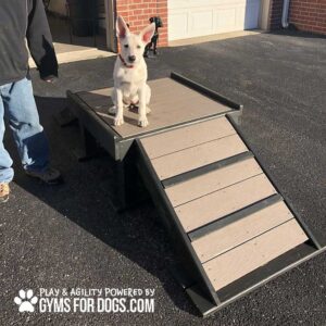 A white dog sits atop the Bridge Climb (S/M) 18" Tall outdoors, next to a person in jeans and boots. The ramp features "Gyms For Dogs" branding in the corner.
