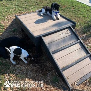 Two dogs play near the Bridge Climb (S/M) 18" Tall, while a black and white dog lounges on top. The ramp says "DOGS ONLY." Grass and mulch surround the area. Text reads "Gyms for Dogs.