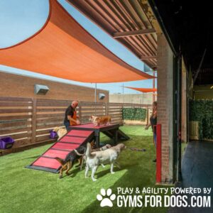 Several dogs play on artificial grass under orange shade sails as two people supervise. Some dogs use the red and black Bridge Climb (Pro) agility ramp. Text at the bottom says, "Play & Agility Powered by GymsForDogs.com.