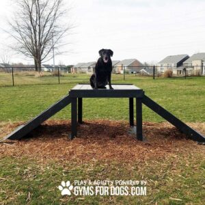 A black dog sits atop the Bridge Climb (Pro), an elevated wooden agility platform with ramps, in a grassy, fenced dog park. Houses and trees can be seen in the background.