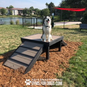 A dog stands on the Bridge Climb 29" Tall (L/X) at the dog park, enjoying the lively surroundings.