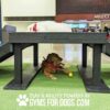 Two dogs relax indoors on a black Bridge Climb 29" Tall (L/X); a white dog lies on top, while a brown dog with a red bandana and yellow ball lounges underneath. Text below says, "Gyms For Dogs.com.
