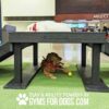 Two dogs rest on the Bridge Climb (L/X) 24" Tall indoors; a yellow dog lies on top, while a brown dog with a bandana rests below beside a yellow ball. Text: "Play & Agility Powered by GymsForDogs.com".