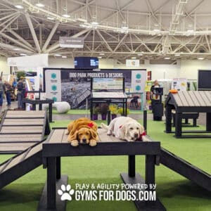 Two dogs rest on a raised Bridge Climb 29" Tall (L/X) in an indoor Dog Park exhibition featuring park equipment. "Play & agility powered by GymsForDogs.com" appears below, with people and booths in the background.