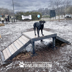 A black dog stands proudly atop the 29” tall Bridge Climb (L/X) at the Dog Park on a snowy day. People and other dogs play in the background. Text reads "PLAY & AGILITY POWERED BY GYMSFORDOGS.COM.