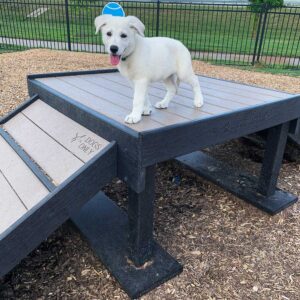 A happy white puppy stands on a Bridge Climb (L/X) 24" Tall at a dog park, with a ramp labeled "DOGS ONLY" leading up to it. The fenced area has wood chips covering the ground.