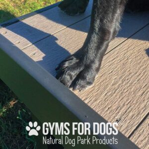 A close-up of a black dog's front paw standing on the 24" tall Bridge Climb (L/X) from Gyms For Dogs, outdoors on a wooden platform with sunlight casting shadows.
