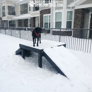 A black dog in a red harness stands on a snowy Bridge Climb 29" Tall (L/X) ramp at a Dog Park near an apartment building, while snow falls and partially covers the ramp.