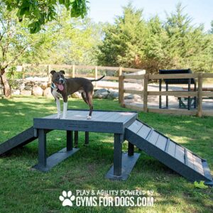 A dog stands atop the Bridge Climb (L/X) 24" Tall agility platform with ramps in a grassy, fenced outdoor space. Trees and rocks are visible behind. "PLAY & AGILITY POWERED BY GYMS FOR DOGS.COM" appears at the bottom.