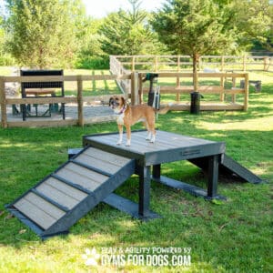 A brown and white dog stands atop the Bridge Climb 29" Tall (L/X), a wooden ramped structure in a grassy, fenced dog park on a sunny day, with ramps on three sides and trees and open space in the background.