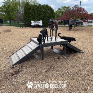 Three dogs stand and walk on the Bridge Climb (L/X) 24" Tall agility ramp at a dog park, with a person in the background. Trees and a fence surround the area, and the Gyms for Dogs logo is visible at the bottom.