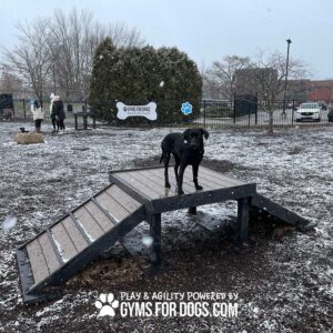 A black dog stands on a 24" tall Bridge Climb (L/X) at an outdoor dog park in winter, with light snow on the ground and trees behind. Logo and text read “GYMS FOR DOGS.COM.”.