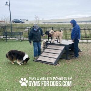 Three people interact with four dogs at a Dog Park. Two dogs stand on a Bridge Climb 29" Tall (L/X) ramp, one climbs it, and another sniffs grass nearby. The text reads: "Play & agility powered by GymsForDogs.com.