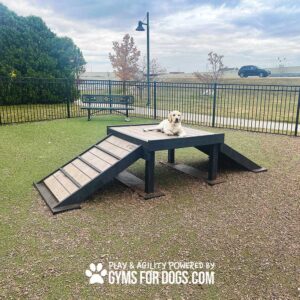 A golden retriever is lying on the Bridge Climb (L/X) 24" Tall platform with ramps in a fenced outdoor dog park. Cloudy skies, grass, and a bench are visible in the background.