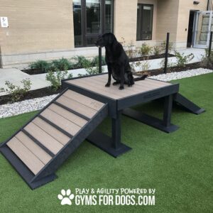 A black dog sits atop a Bridge Climb 29" Tall (L/X) agility platform with ramps at a dog park on artificial grass by a building. The text "Play & Agility Powered By GymsForDogs.com" appears at the bottom.